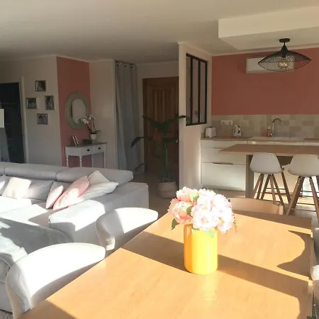 Avec Piscine Privée Sur La French Riviera Villa